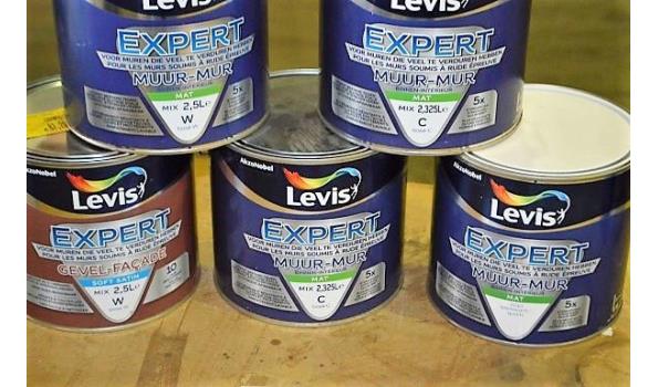 6 potten verf LEVIS Expert voor muur en gevel